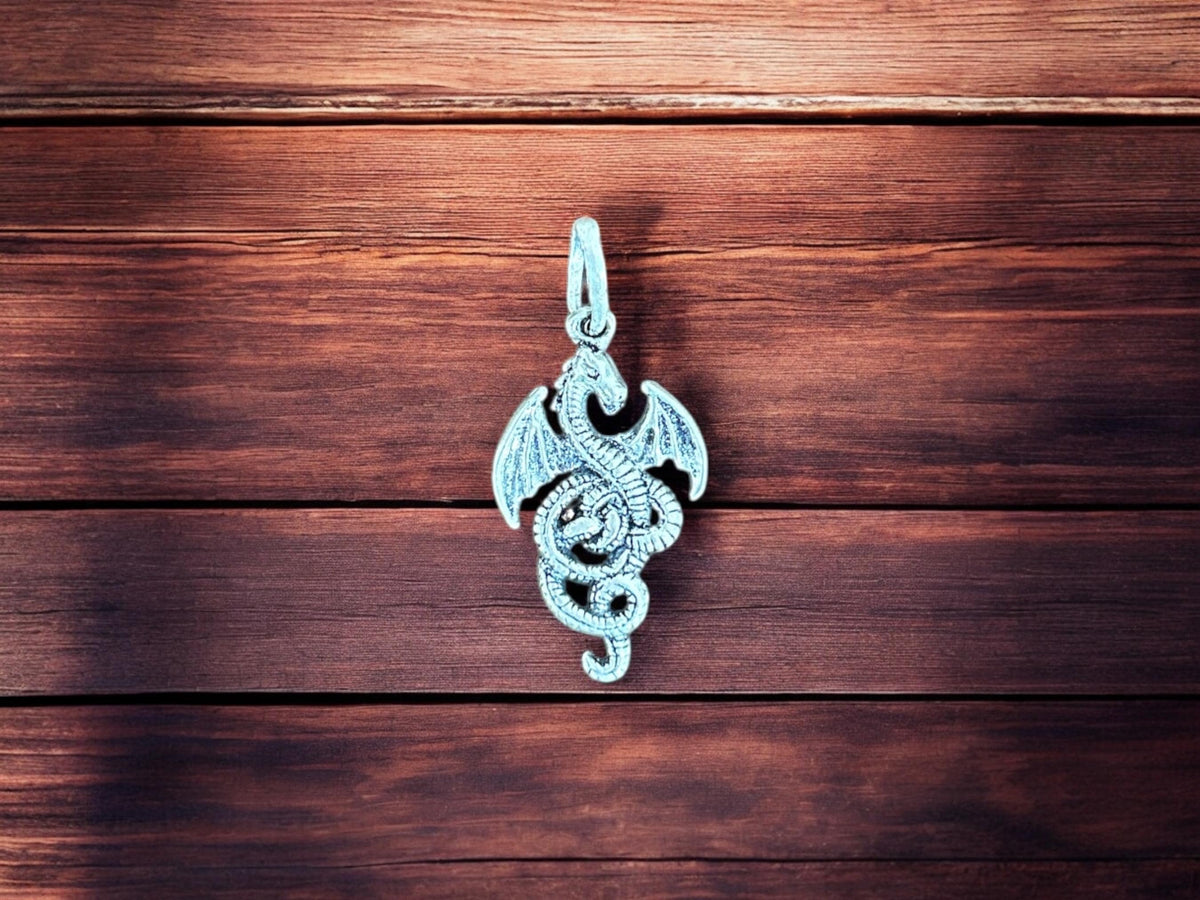925 Sterling Silver Dragon Necklace, Gothic Fantasy Pendant Gift SR140